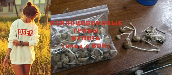 PSILOCYBIN Алексеевка