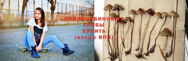 ешки Алексин