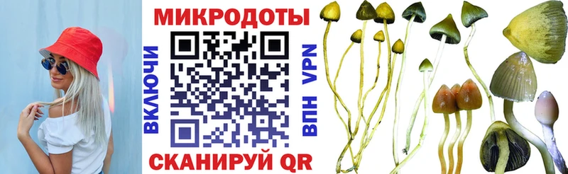 где найти наркотики  Томари  Галлюциногенные грибы GOLDEN TEACHER 